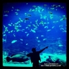 normal_41bc89a53c0a44869a164dd53baeb50f_7