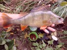 CIMG0527