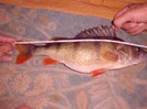 CIMG0545