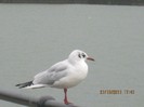 IMG_1251
