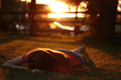 tumblr_lq3vmmy7Sm1qky5nxo1_500_large