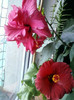 my pictures- 25 octombrie 2011 003