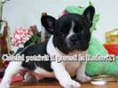 images (48)