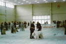 romexpo 2004 7