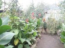 Photo0185