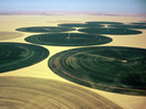 Irrigation-Kufra-Growing-Sahara-Africa-1-GYN0REJQJD-1024x768