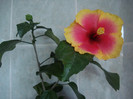 DSC00573