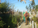 DSC06683
