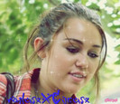 32284579_WESNGJWYY