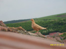 37274107_JAEUYEYDB