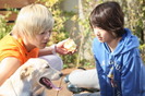 tumblr_ksk4imDjda1qa8174o1_500_large