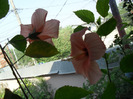 SAM_1028