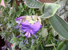 SAM_1030