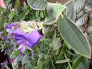 SAM_1031