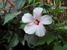 SAM_1045