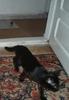 images (4)