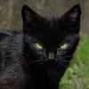 images (10)