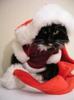 images (12)