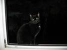images (20)