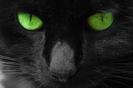 images (22)