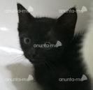 images (24)