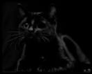 images (32)
