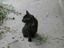 images (45)