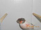 DSCN0767