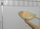 DSCN0769