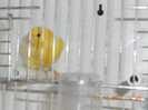 DSCN0773