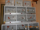 DSCN0780