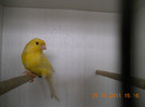 DSCN0827