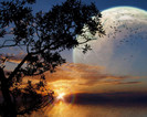 Another_Sunset