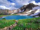 Landscape (5)