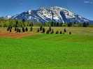 Landscape (6)