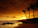landscapes-1