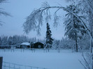 peisaj-de-iarna