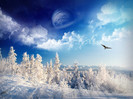 wallpapers poze imagini peisaje de iarna winter (15)