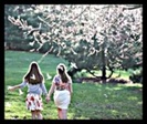 50353546_PNHCJQTYA