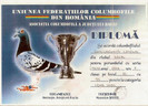 Foto-diploma-RO-219057-2001-4