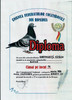 Foto-diploma-RO-219057-2001-3