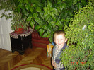 poze 029