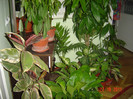 poze 031