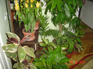 poze 032