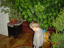 poze 033