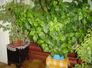 poze 035