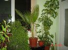 poze 036