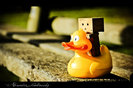 danbo_and______a_duck_by_whispering_legacy-d39mfo0_large
