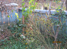 29 oct 2011 001
