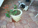 DSC04018